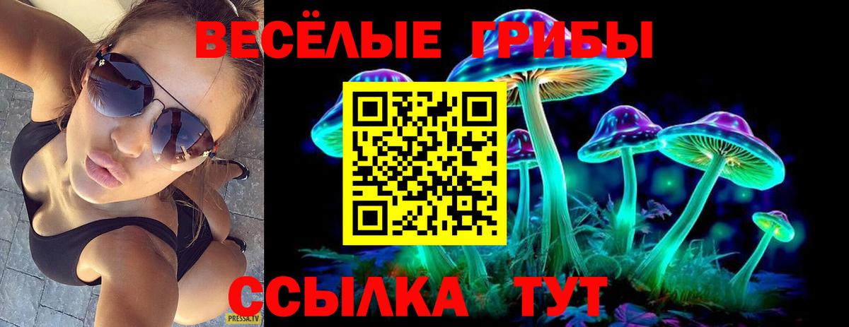 Галлюциногенные грибы Magic Shrooms  Псилоцибиновые грибы Psilocybine cubensis  Сосновый Бор  Вход с VPN 